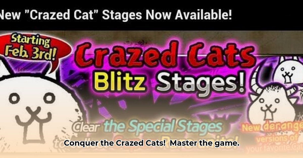 crazed-battle-cats